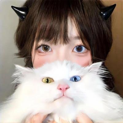 飞女刑事 代号：麻宫咲