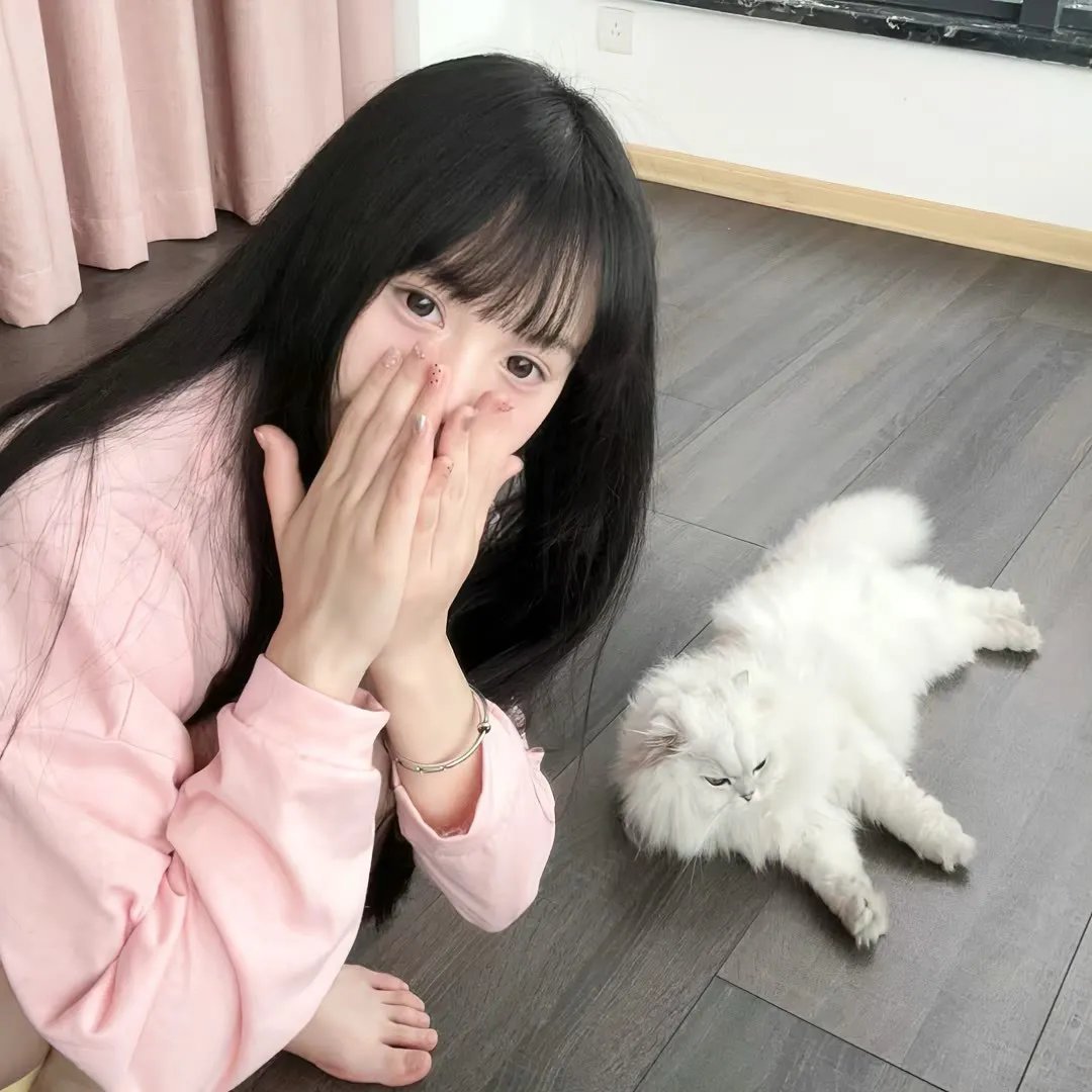 新版佐罗